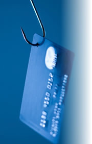 Taking the Bait in a Credit Card Phishing Scam